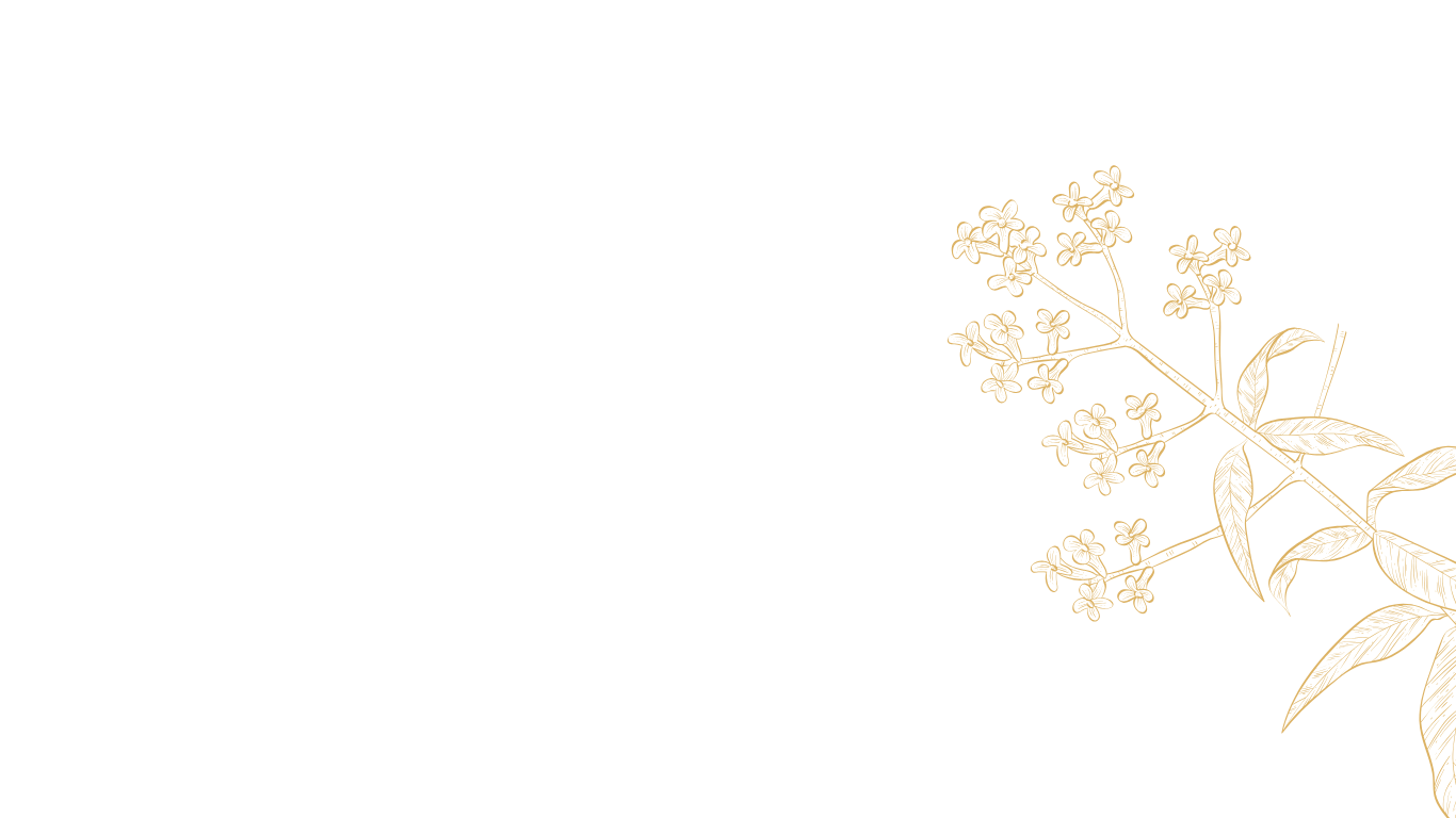 decoration